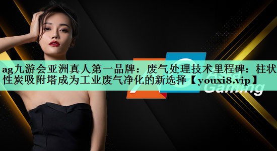 废气处理技术里程碑：柱状活性炭吸附塔成为工业废气净化的新选择